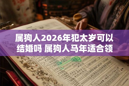 属狗人2026年犯太岁可以结婚吗 属狗人马年适合领证吗