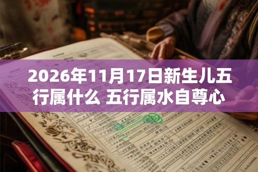 2026年11月17日新生儿五行属什么 五行属水自尊心强