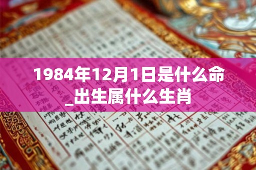 1984年12月1日是什么命_出生属什么生肖