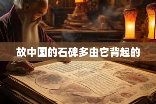 故中国的石碑多由它背起的