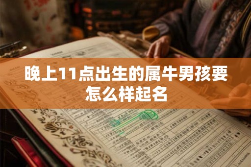 晚上11点出生的属牛男孩要怎么样起名
