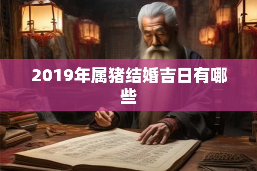 2019年属猪结婚吉日有哪些 2019年属猪结婚吉日有哪些