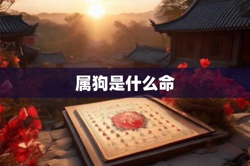 属狗是什么命 属狗是什么命