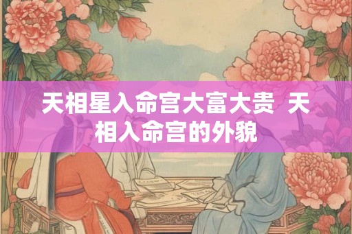 天相星入命宫大富大贵  天相入命宫的外貌