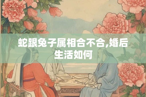 蛇跟兔子属相合不合,婚后生活如何
