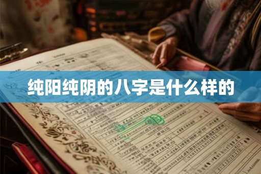 纯阳纯阴的八字是什么样的