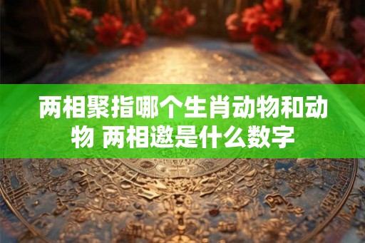 两相聚指哪个生肖动物和动物 两相邀是什么数字