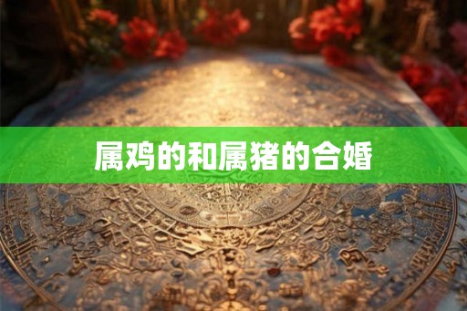 属鸡的和属猪的合婚