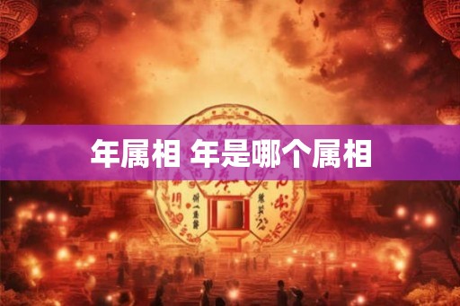 年属相 年是哪个属相 年属相 年是哪个属相