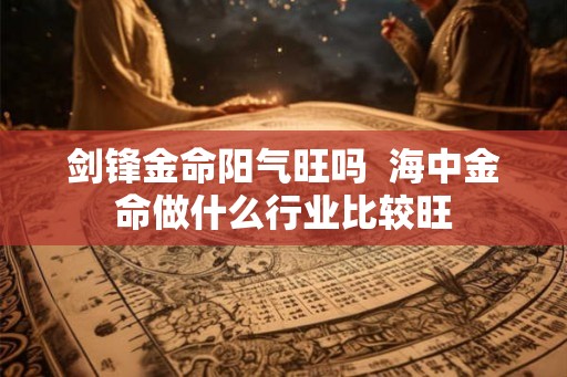 剑锋金命阳气旺吗  海中金命做什么行业比较旺