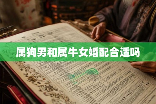 属狗男和属牛女婚配合适吗