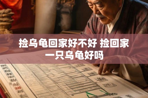 捡乌龟回家好不好 捡回家一只乌龟好吗