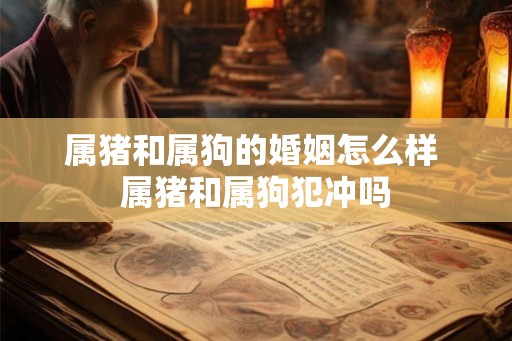 属猪和属狗的婚姻怎么样 属猪和属狗犯冲吗
