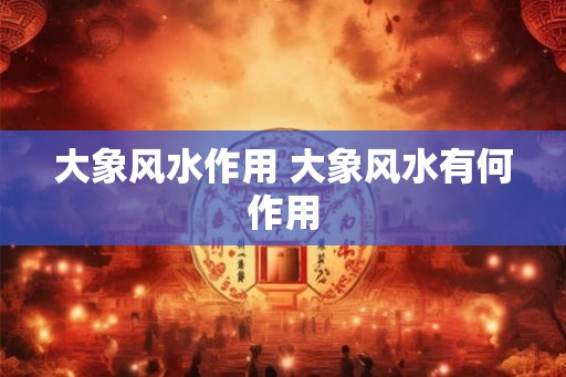 大象风水作用 大象风水有何作用 大象风水作用 大象风水有何作用
