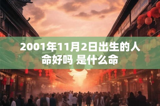 2001年11月2日出生的人命好吗 是什么命