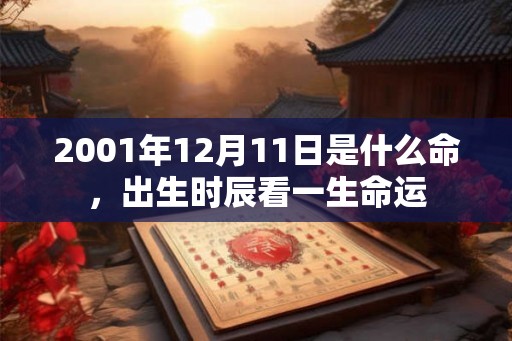 2001年12月11日是什么命，出生时辰看一生命运