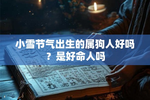 小雪节气出生的属狗人好吗?是好命人吗 小雪节气出生的属狗人好吗?是好命人吗