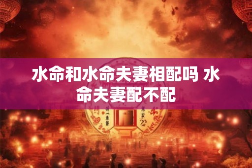 水命和水命夫妻相配吗 水命夫妻配不配
