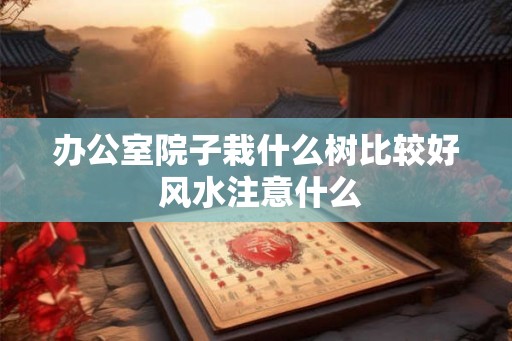 办公室院子栽什么树比较好 风水注意什么