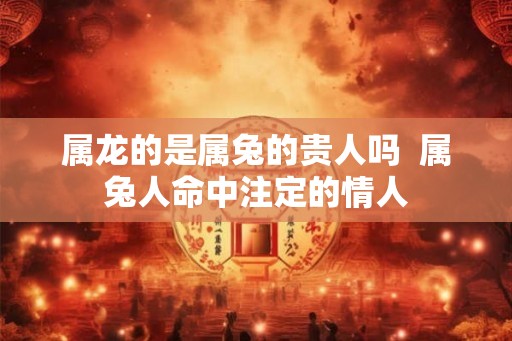 属龙的是属兔的贵人吗  属兔人命中注定的情人