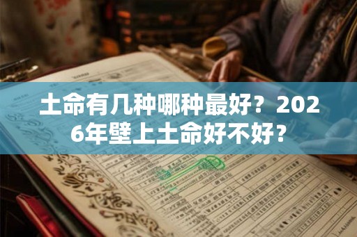 土命有几种哪种最好？2026年壁上土命好不好？