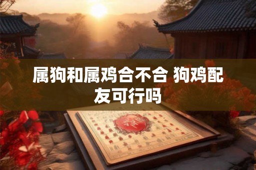 属狗和属鸡合不合 狗鸡配友可行吗