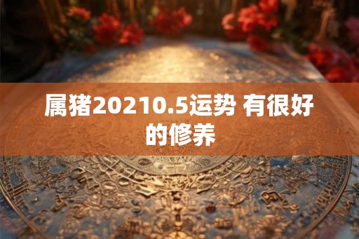 属猪20210.5运势 有很好的修养 属猪20210.5运势 有很好的修养
