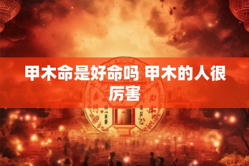 甲木命是好命吗 甲木的人很厉害