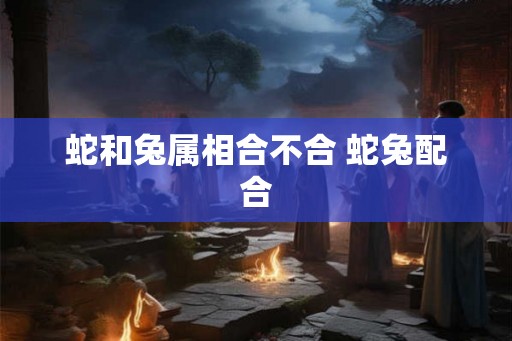 蛇和兔属相合不合 蛇兔配合