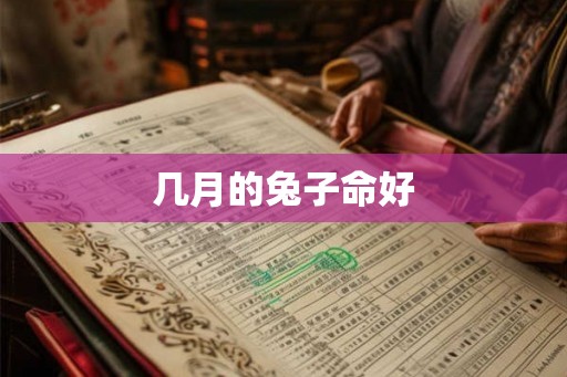 几月的兔子命好