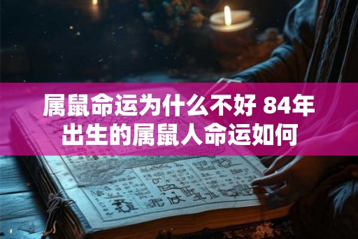 属鼠命运为什么不好 84年出生的属鼠人命运如何