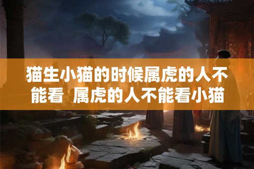猫生小猫的时候属虎的人不能看  属虎的人不能看小猫