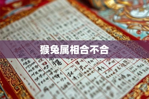 猴兔属相合不合