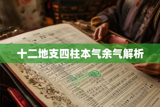 十二地支四柱本气余气解析