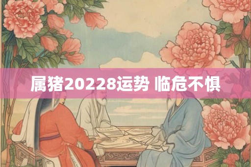 属猪20228运势 临危不惧