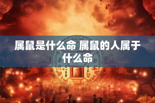 属鼠是什么命 属鼠的人属于什么命