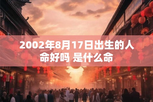 2002年8月17日出生的人命好吗 是什么命