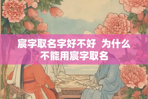 宸字取名字好不好  为什么不能用宸字取名