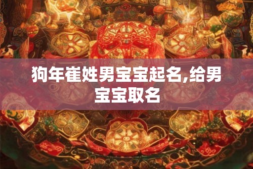 狗年崔姓男宝宝起名,给男宝宝取名