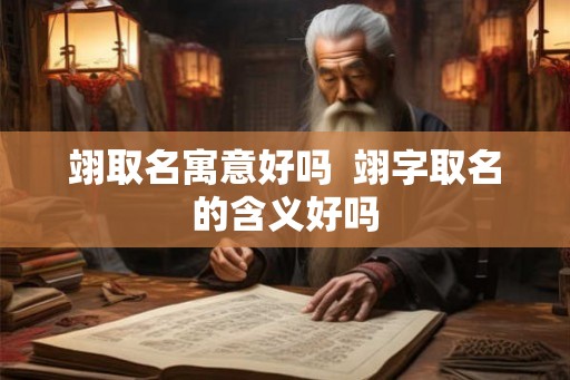 翊取名寓意好吗  翊字取名的含义好吗