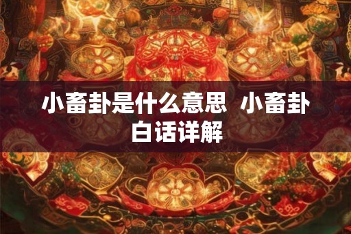 小畜卦是什么意思  小畜卦白话详解