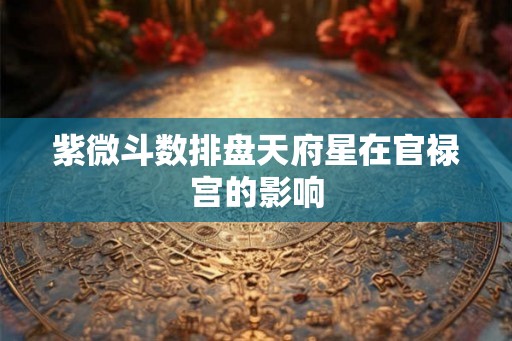 紫微斗数排盘天府星在官禄宫的影响