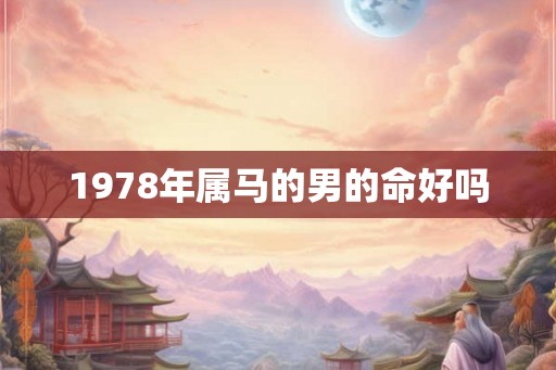 1978年属马的男的命好吗
