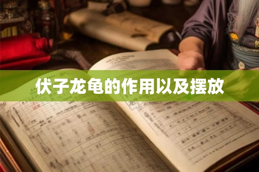 伏子龙龟的作用以及摆放