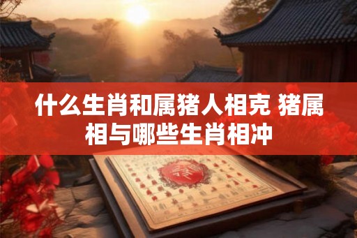什么生肖和属猪人相克 猪属相与哪些生肖相冲