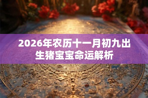 2026年农历十一月初九出生猪宝宝命运解析 2026年农历十一月初九出生猪宝宝命运解析