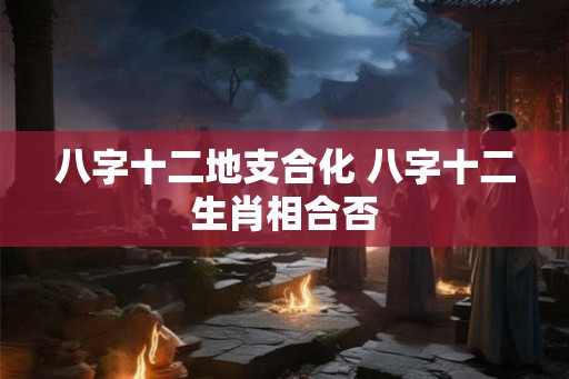 八字十二地支合化 八字十二生肖相合否