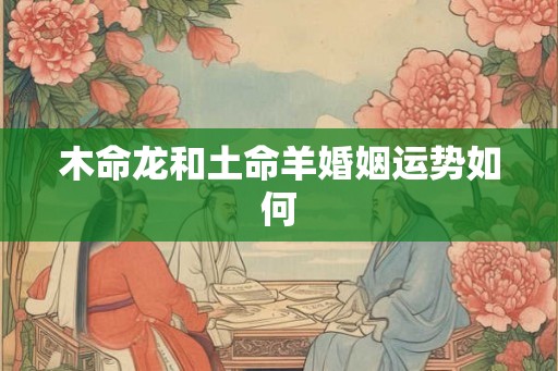 木命龙和土命羊婚姻运势如何