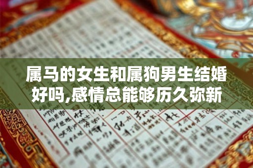属马的女生和属狗男生结婚好吗,感情总能够历久弥新