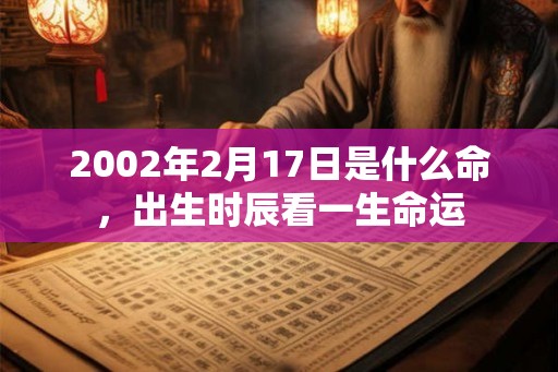 2002年2月17日是什么命，出生时辰看一生命运
